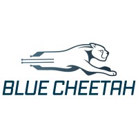 Blue Cheetah Analog Design